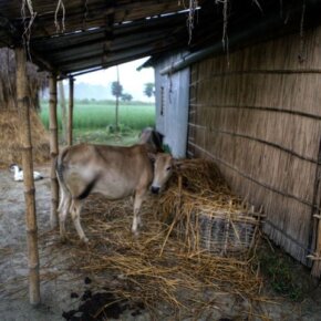 620870_10151055633681501_240867693_o