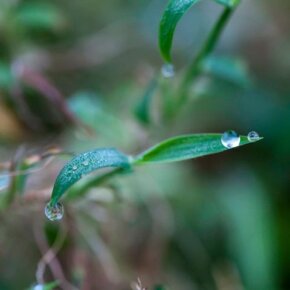 622849_10151052661126501_606042110_o